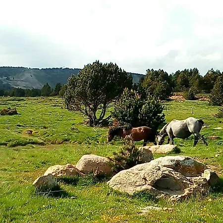 Studio Plein Sud - Vue Panoramique Sur Les Pyrenees - Proche Du Centre Ville Et Du Telecabine